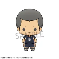 MegaHouse Chokorin Mascot Haikyuu！！ Vol.3 Set - Haikyu!! - photo 11