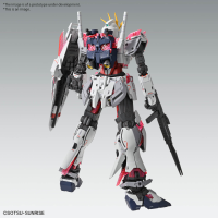 MG 1/100 NARRATIVE GUNDAM C-PACKS Ver.Ka 9