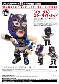 16d Collection 031: (STARDOM) Starlight Kid 9