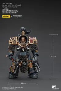 JOYTOY Space Wolves Varagyr Wolf Guard Squad Varagyr Terminator 2 - Warhammer 40K - photo 5