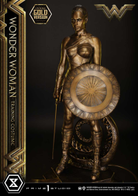 Museum Masterline Wonder Woman (Film) Wonder Woman Training Costume Gold Version 3
