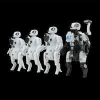BB-48GT GHOST TEAM 13