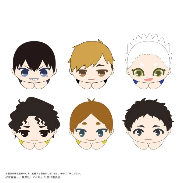 Haikyu!! HUG CHARACTER COLLECTION 10 (6pc per box)
