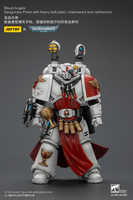 Blood Angels Sanguinary Priest with Heavy bolt pistol, chainsword and narthecium 6
