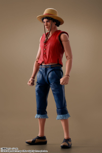 Monkey D.Luffy (A Netflix Series: One Piece) 2