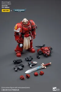 JOYTOY Blood Angels Veteran Vigna - Warhammer 40K - photo 5