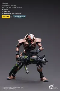 JOYTOY Necrons Szarekhan Dynasty lmmortal with Tesla Carbine [2PCS] - Warhammer 40K - photo 6