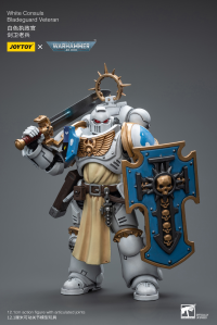 White Consuls Bladeguard Veteran 7