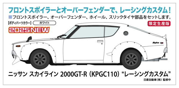 1/24 NISSAN SKYLINE 2000GT-R (KPGC110) RACING CUSTOM