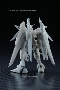 RG 1/144 #11 Destiny Gundam 2