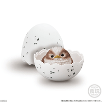 Tenori Baby Friends - Birds  (Box/12) 7