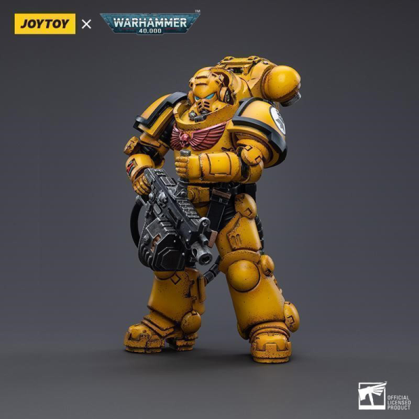 Imperial Fists  Heavy Intercessor  Polad Lycalrad