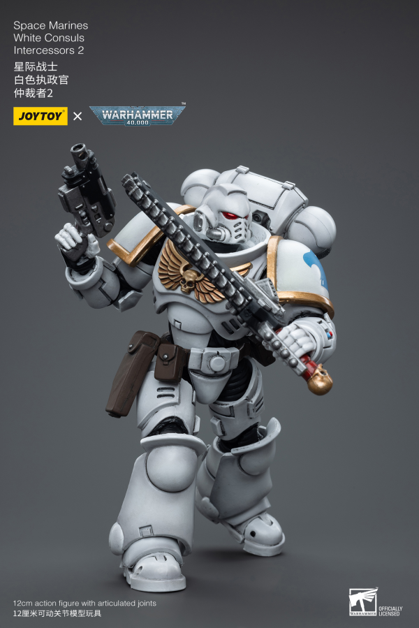 Space Marines White Consuls Intercessors 2