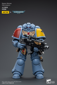 Space Wolves Intercessors 5