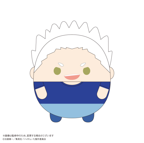 Haikyu!! FUWA KORORIN Ｍsize 10 (Item C)