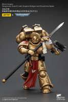 Blood Angels Sanguinary Guard 2 with Angelus Boltgun and Encarmine Spear 23