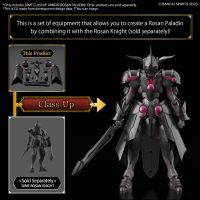 30MF CLASS UP ARMOR (ROSAN PALADIN) 5