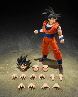 SON GOKU <THE KIND-HEARTED SAIYAN> "DRAGON BALL Z" 5