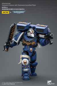 Ultramarines Vanguard Veteran with Chainsword and Bolt Pistol 7