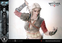 Premium Masterline The Witcher 3: Wild Hunt Ciri Fiona Elen Riannon Alternative Outfit DX Bonus Version 6