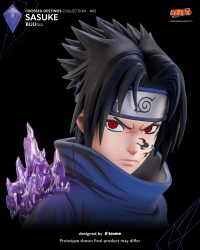 Sasuke - BIJUtsu 7