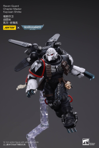 Raven Guard Chapter Master Kayvaan Shrike 9