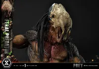 Prime 1 Studio Museum Masterline Prey Feral Predator - Live Action Movies/TV - photo 24