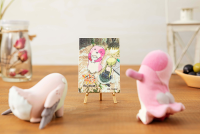Maaa & Meinya KADOKAWA Special Set 6