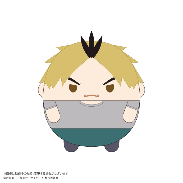 Haikyu!! FUWA KORORIN Msize 9  (ITEM E)