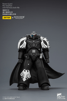 Raven Guard Mor Deythan with Nemesis bolt rifle 14