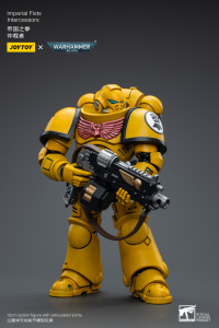 Imperial Fists Intercessors 2
