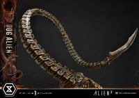 Prime 1 Studio Museum Masterline XL Alien 3 (Film) Dog Alien			 - Alien (Movie Franchise) - photo 26