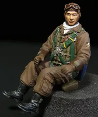 Hasegawa [ST32] 1:32 MITSUBISHI J2M3 RAIDEN (JACK) TYPE 21 - Scale Kits - photo 7