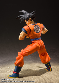 Son Goku -A Saiyan Raised On Earth- Dragon Ball Z, TAMASHII NATIONS S.H.Figuarts 3