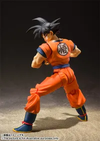 TAMASHII NATIONS Son Goku -A Saiyan Raised On Earth- Dragon Ball Z, TAMASHII NATIONS S.H.Figuarts - Dragon Ball Z - photo 3