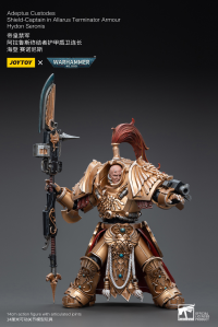 Adeptus Custodes Shield-Captain in Allarus Terminator Armour Hydon Seronis 12