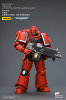 Blood Angels Intercessor with Bolt Rifle, Bolt Pistol and Chainsword 18