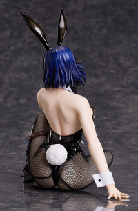 Saeko Nogami: Bunny Ver. 5