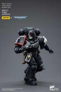 Warhammer 40K-Raven Guard Intercessors Brother Nax 4