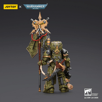 Death Guard Plague Marine Icon bearer with Boltgun and Plague knife 10