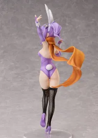 FREEing Satoko Kusagakure: Bunny Ver. - A Ninja and an Assassin Under One Roof - photo 4