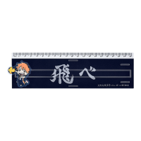 Haikyu!! Banner Ruler Shoyo Hinata 4