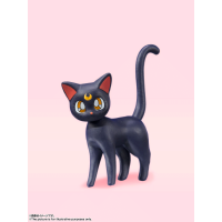 Sailor Moon -Animation Color Edition- 6