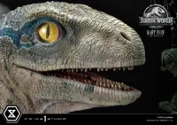 Prime 1 Studio Legacy Museum Collection Jurassic World: Fallen Kingdom (Film) Baby Blue 1/2 scale - Jurassic Park - photo 26
