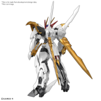 HG Amplified IMGN RYUOUMARU 8