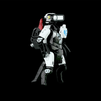 BB-48GT GHOST TEAM 14