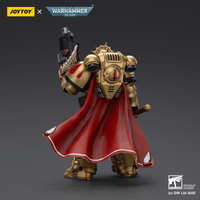 Blood Angels Captain with Heavy Bolt Pistol & Power Sword 10