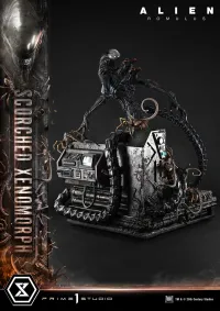 Prime 1 Studio Museum Masterline XL Alien: Romulus Scorched Xenomorph Deluxe Bonus Version - Alien (Movie Franchise) - photo 14