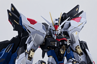 STRIKE FREEDOM GUNDAM <Revival Ver.> 3