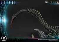 Prime 1 Studio Premium Masterline Aliens (Comics) Tusked Alien Bonus Version - Alien (Movie Franchise) - photo 19